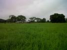 Inmobiliaria tuinmueble