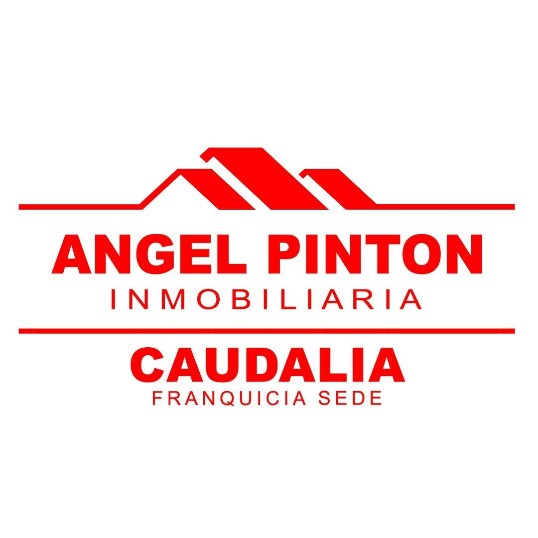 ANGEL PINTON INMOBILIARIA SEDE CAUDALIA