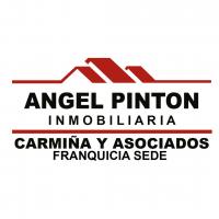 Angel Pinton Inmobiliaria