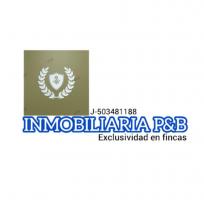 INMOBILIARIA P&B