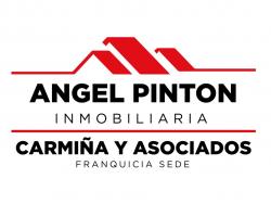 Angel Pinton Inmobiliaria