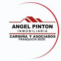 CARMIÑA Y ASOCIADOS ANGEL PINTON