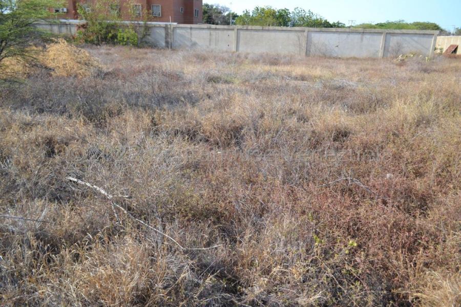 Foto Terreno en Venta en Coro, Falcn - U$D 150.000 - TEV226116 - BienesOnLine