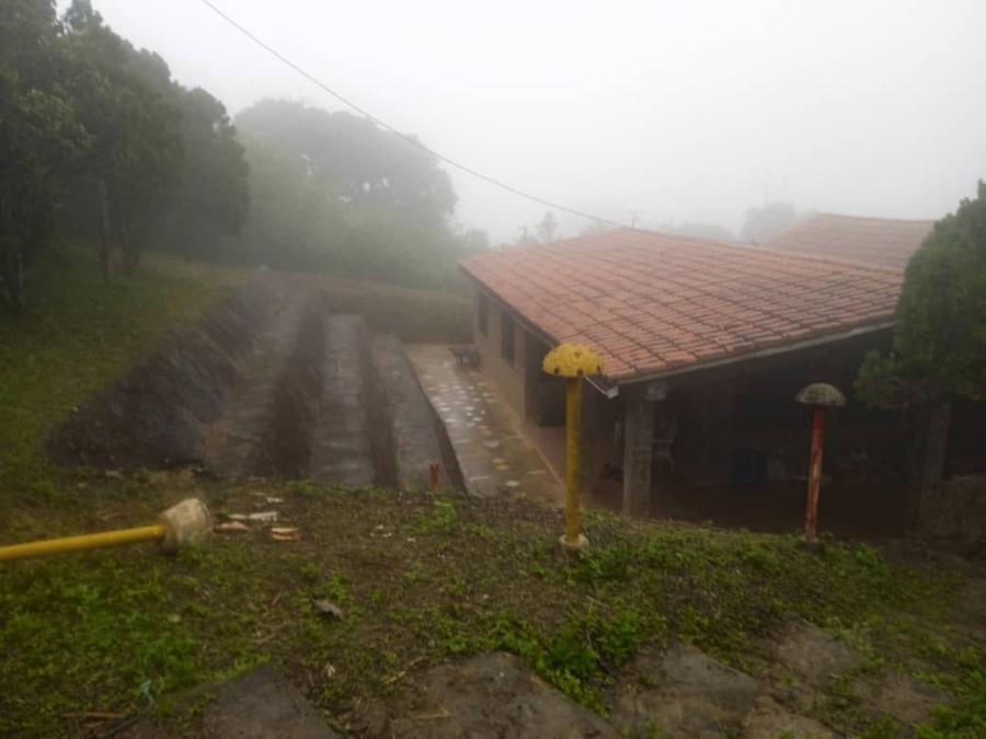 Foto Finca en Venta en Curimagua, Cabure, Falcón - U$D 15.000 - FIV240381 - BienesOnLine