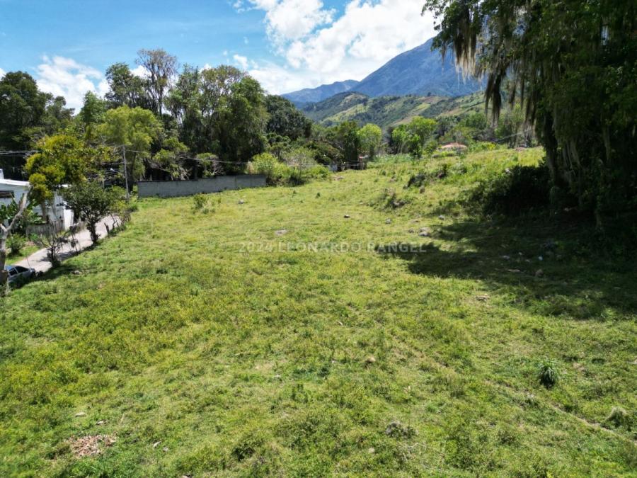 Foto Terreno en Venta en Mucuy, Mérida, Mérida - U$D 9.500 - TEV231482 - BienesOnLine