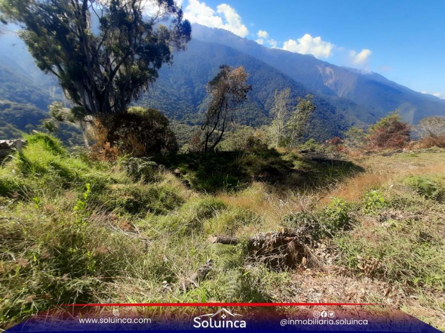 Foto Terreno en Venta en La Laguneta, Tabay, Mérida - U$D 7.000 - TEV258897 - BienesOnLine