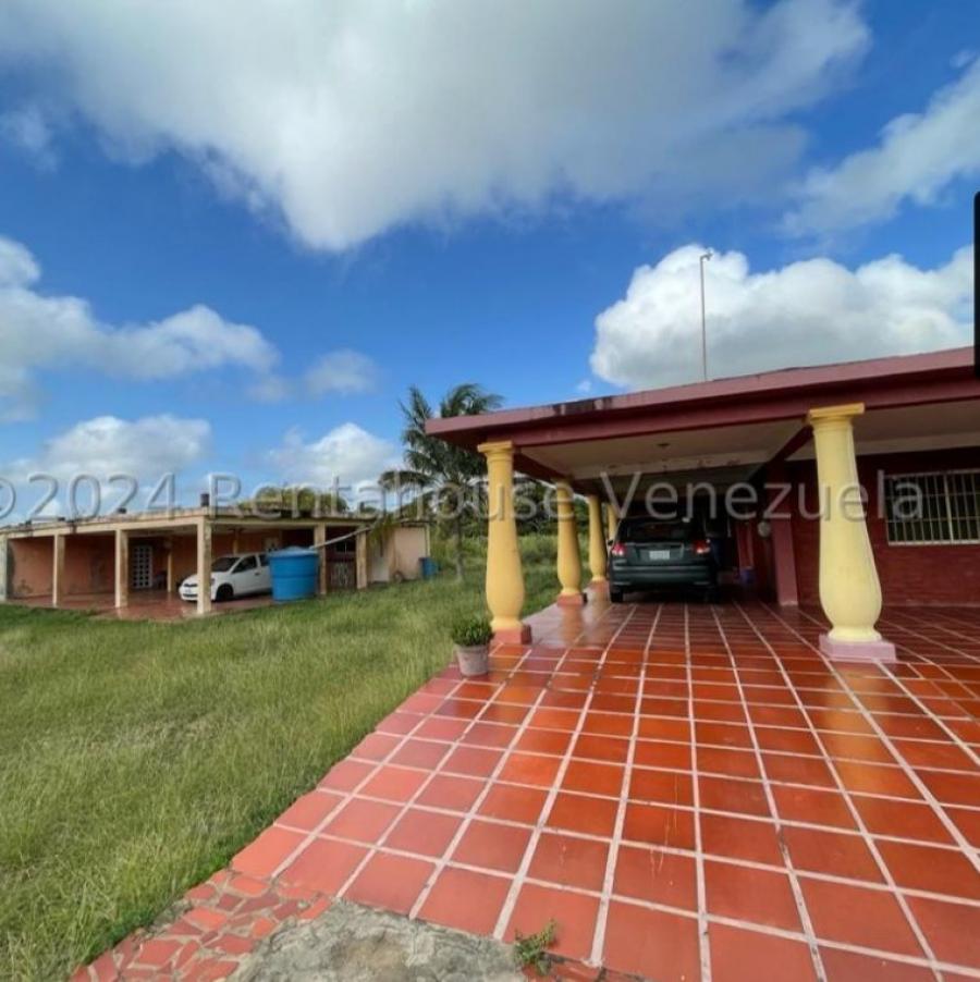 Foto Casa en Venta en Los taques, Buena Vista, Falcn - CAV223323 - BienesOnLine