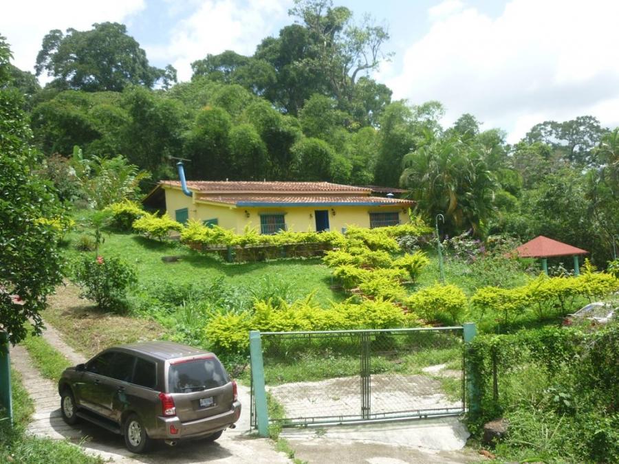 Foto Finca en Venta en Canoabo, Bejuma, Carabobo - U$D 30.000 - FIV164797 - BienesOnLine