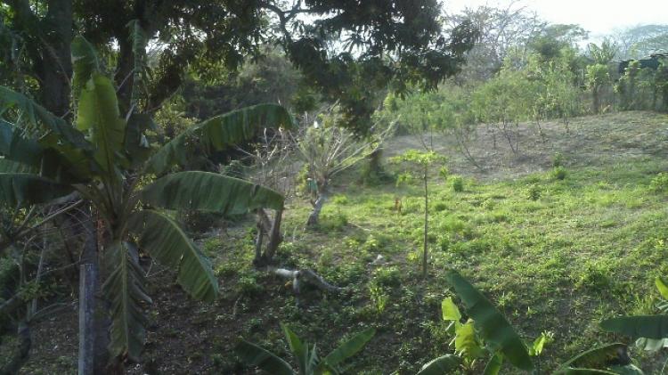 Foto Finca en Venta en Boraure, Yaracuy - BsF 700.000 - FIV19977 - BienesOnLine