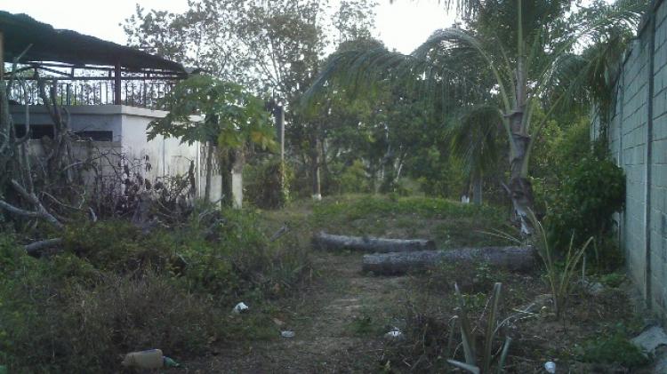 Foto Terreno en Venta en Boraure, Yaracuy - BsF 450.000 - TEV19982 - BienesOnLine