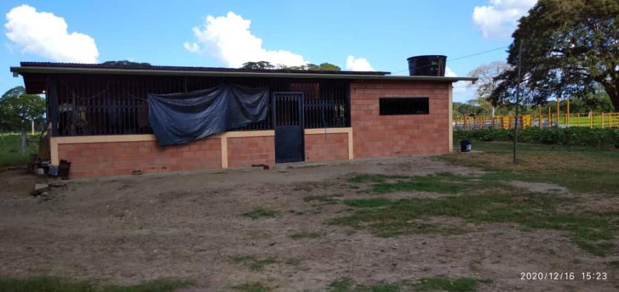 Foto Finca en Venta en Ciudad de Nutrias, Ciudad de Nutrias, Barinas - U$D 161 - FIV151123 - BienesOnLine