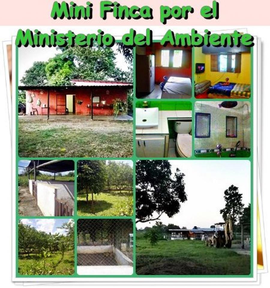 Home in Metric Way