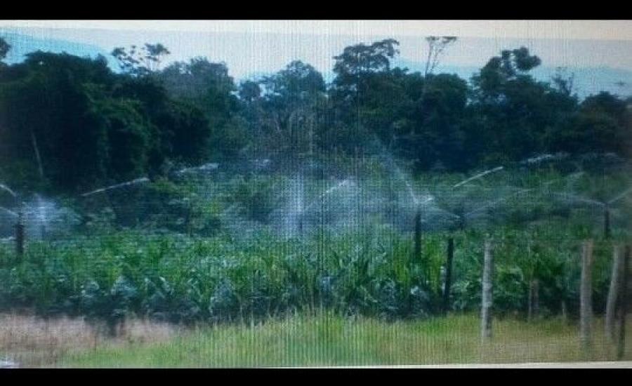 Foto Finca en Venta en @phagrovzla, Proyecto de Planta Procesadora Palma Africana, Zulia - 2478 hectareas - U$D 5.000.000 - FIV169743 - BienesOnLine
