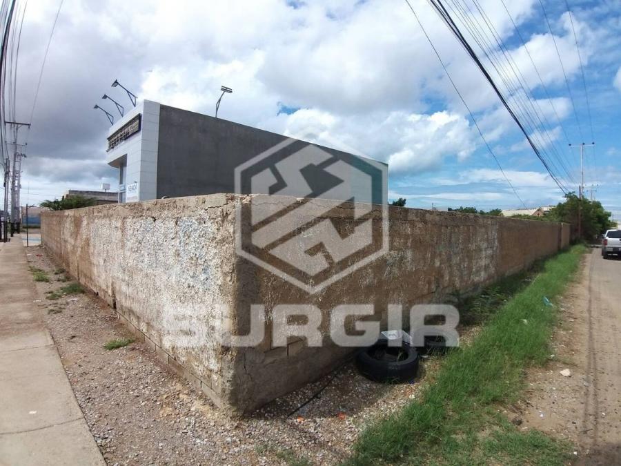 Foto Terreno en Alquiler en Punto Fijo, Falcn - U$D 400 - TEA216916 - BienesOnLine