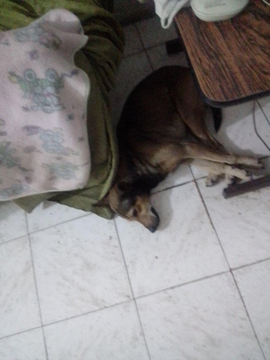 Foto Casa en Alquiler en Catedral, Estado Lara, Lara - U$D 50 - CAA200175 - BienesOnLine