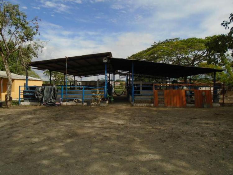 Foto Terreno en Venta en Cabudare, Lara - BsF 45.000.000 - TEV81540 - BienesOnLine