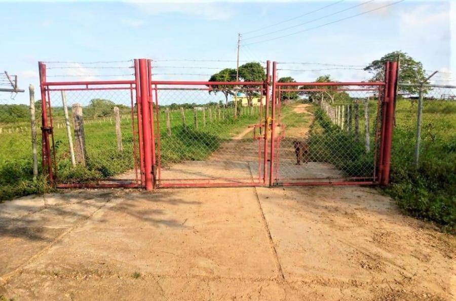 Foto Terreno en Venta en Municipio Acosta, Jacura, Falcn - U$D 70.000 - TEV135778 - BienesOnLine