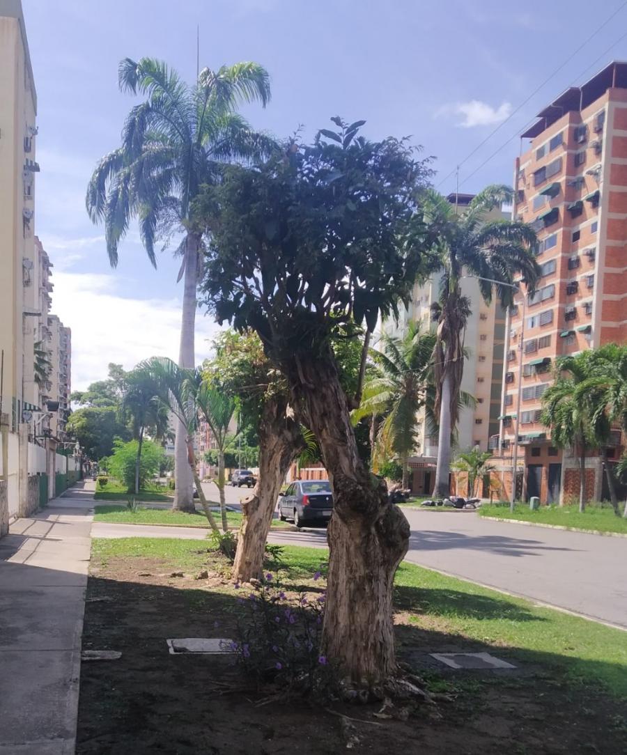 Foto Apartamento en Alquiler en Maracay, Aragua - U$D 280 - APA212615 - BienesOnLine