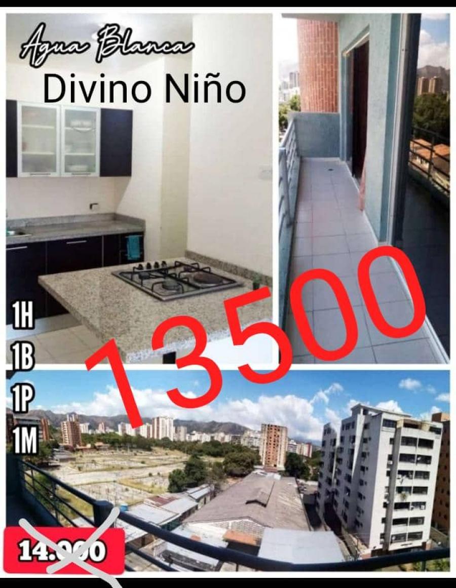 Foto Apartamento en Venta en Agua Blanca. Valencia Norte, Valencia, Carabobo - U$D 13.500 - APV154669 - BienesOnLine