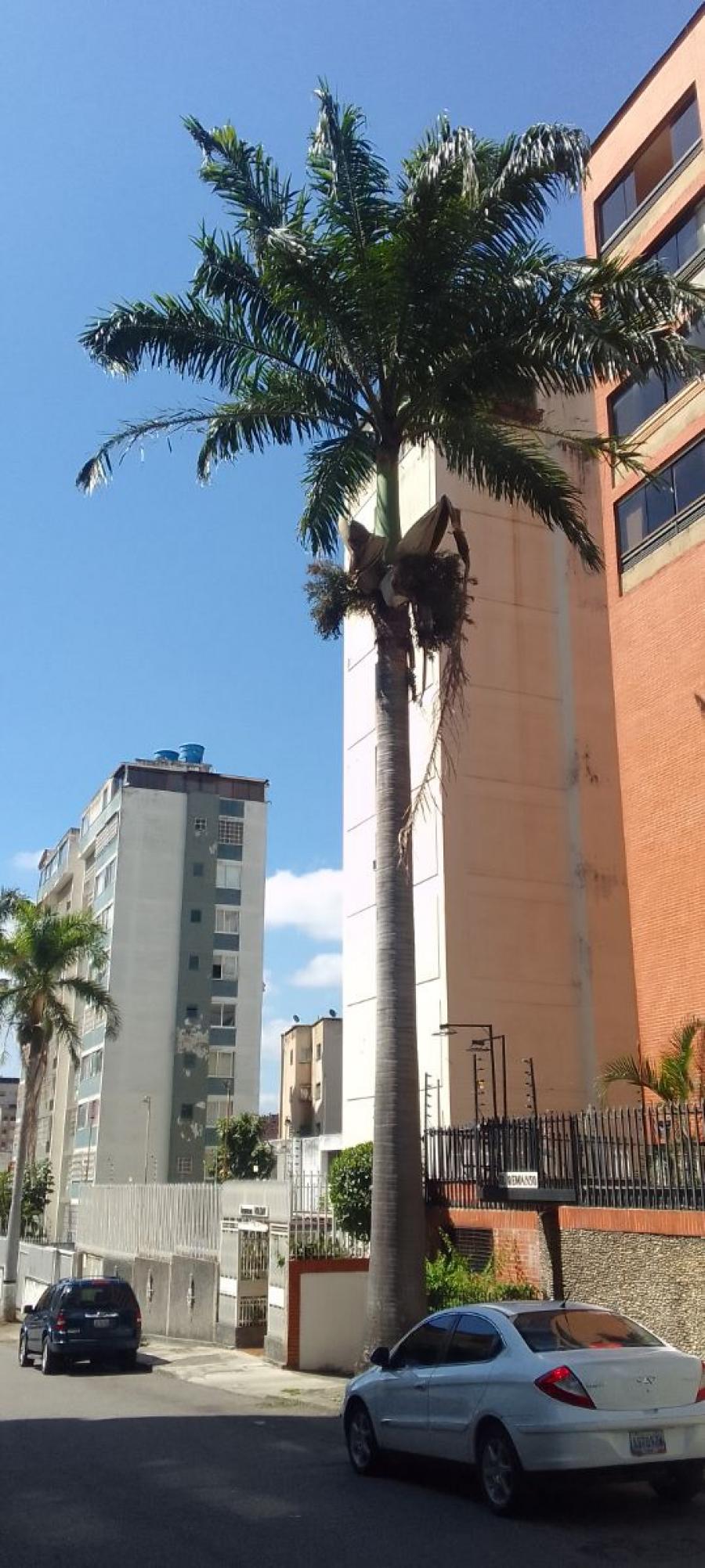 Foto Apartamento en Venta en El Recreo, Avenida Buscare Las Palmas, Distrito Federal - U$D 59.000 - APV221779 - BienesOnLine