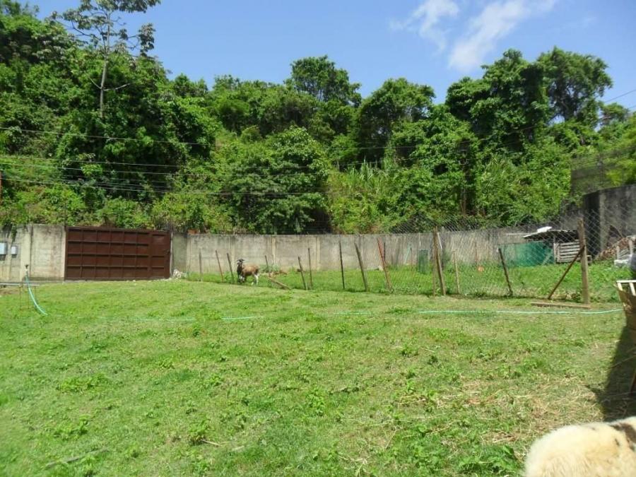 Foto Terreno en Venta en El Hatillo, La Unin, Distrito Federal - U$D 80.000 - TEV165592 - BienesOnLine