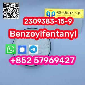 Benzoylfentanyl 2309383-15-9