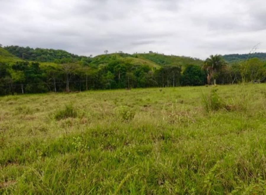 Foto Finca en Venta en Santa Brbara, Barinas - U$D 45.000 - FIV128449 - BienesOnLine