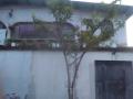 Casa en Venta en Caña de Azucar Maracay