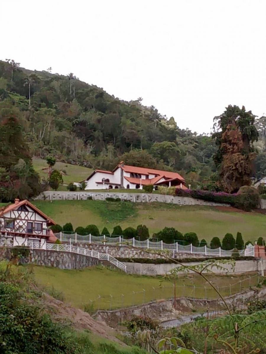 Foto Casa en Venta en @phagrovzla, Colonia Tovar, Aragua - U$D 400.000 - CAV129733 - BienesOnLine