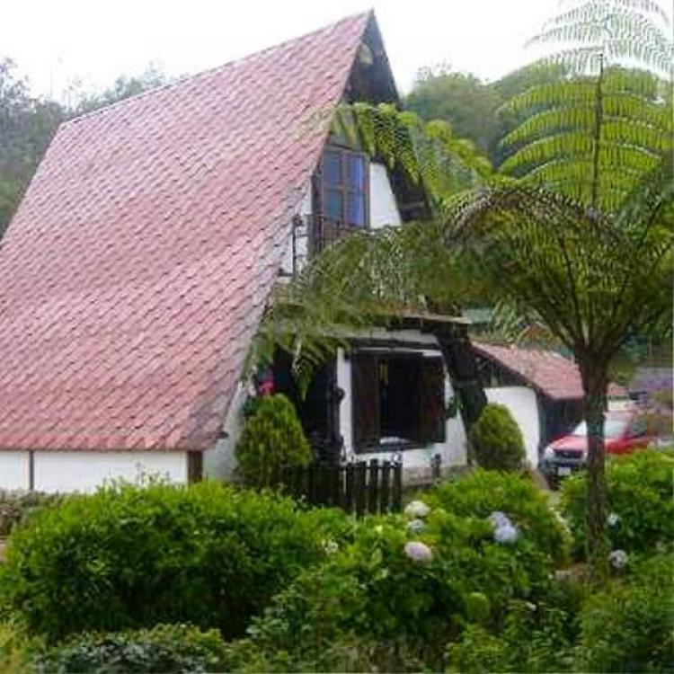 Home in Metric Way