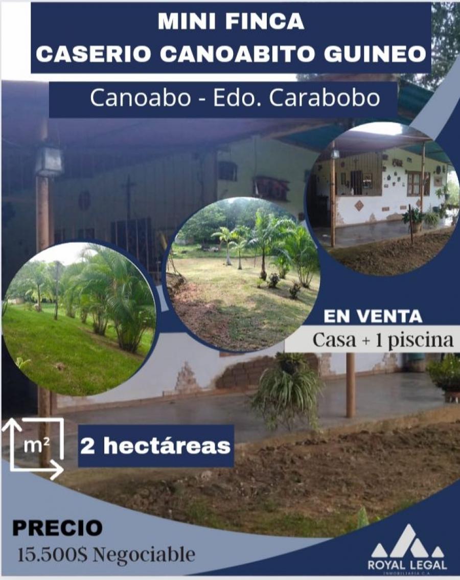 Foto Finca en Venta en Canoabo, Bejuma, Carabobo - 2 hectareas - U$D 15.500 - FIV208703 - BienesOnLine