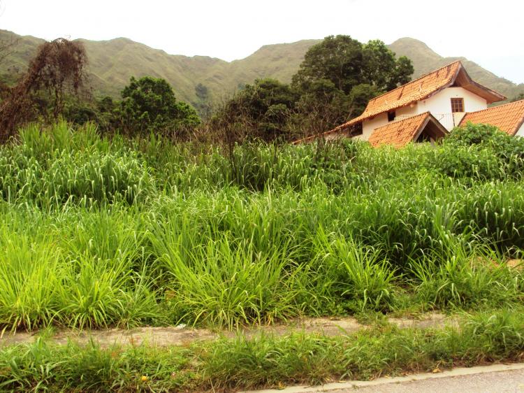 Foto Terreno en Venta en El Castao, Maracay, Aragua - BsF 32.000.000 - TEV24751 - BienesOnLine