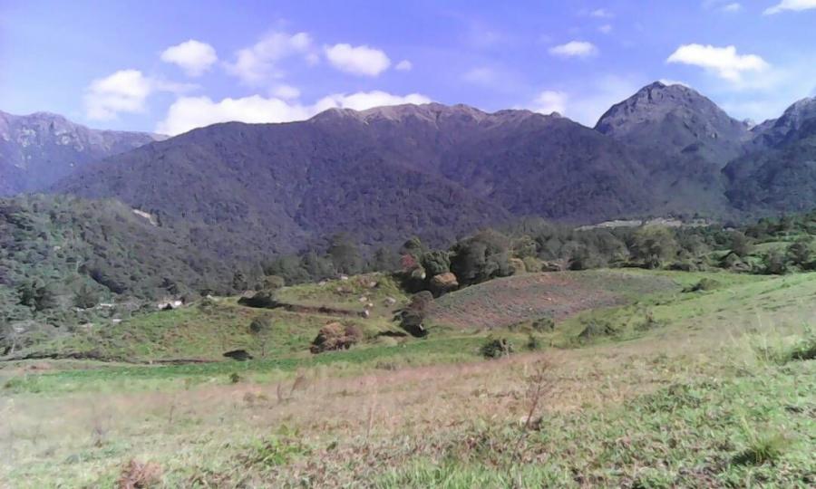 Foto Terreno en Venta en EL Valle, Merida, Mrida - 20 hectareas - U$D 320.000 - TEV153491 - BienesOnLine