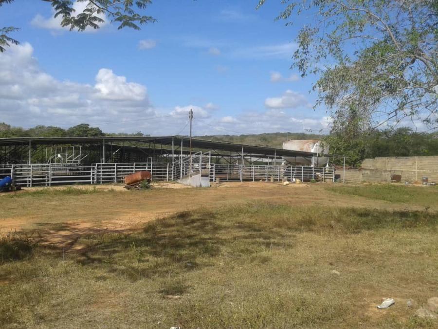 Foto Finca en Venta en MUN. LIBERTAD, Libertad, Anzotegui - U$D 140.000 - FIV127471 - BienesOnLine