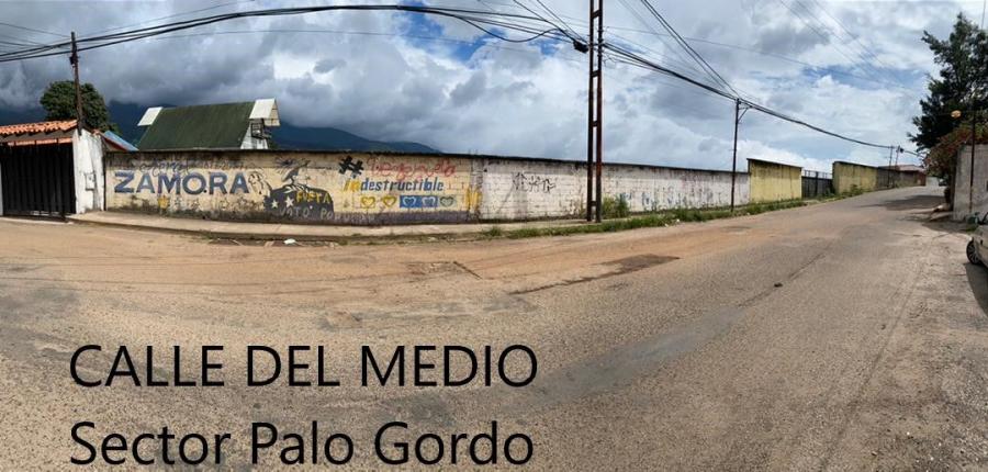 Foto Terreno en Venta en Cardenas, San Cristbal, Tchira - U$D 23 - TEV166691 - BienesOnLine