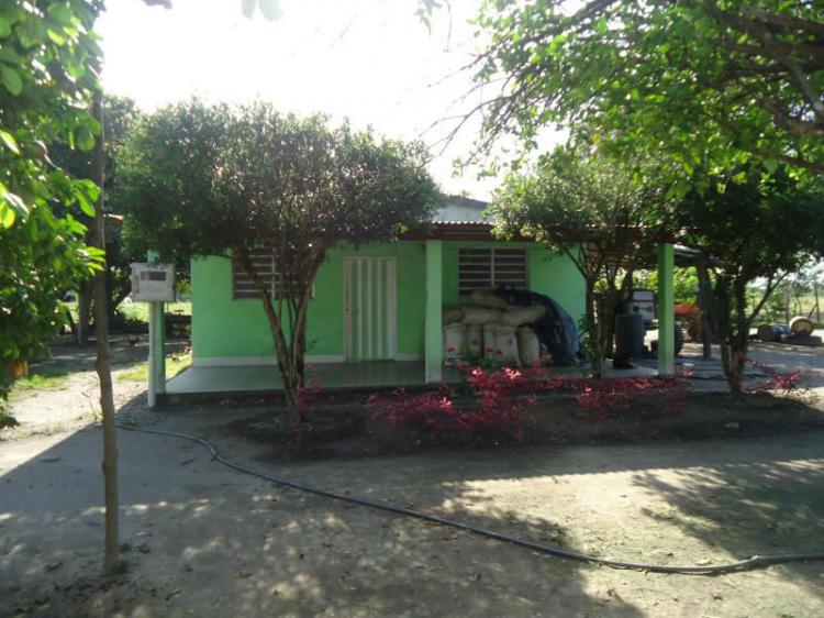 Home in Metric Way