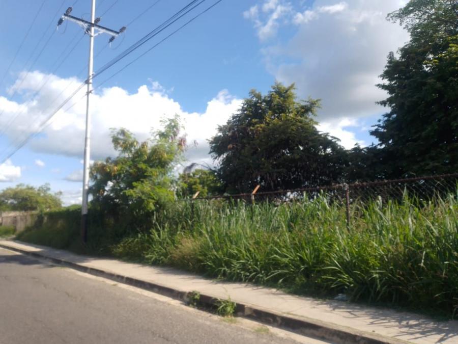 Foto Terreno en Venta en Guacara, Carabobo - 4 hectareas - U$D 240.000 - TEV208152 - BienesOnLine