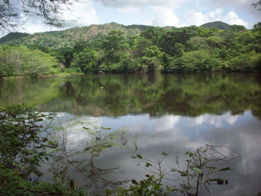Foto Hacienda en Venta en Urdaneta, Taguay, Aragua - 310 hectareas - U$D 158.000 - HAV187520 - BienesOnLine