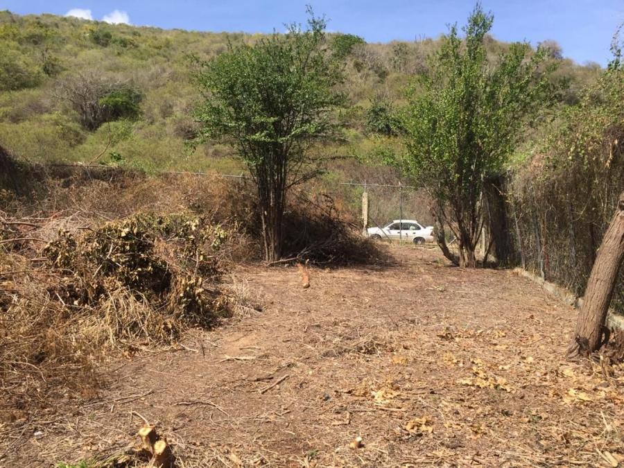 Foto Terreno en Venta en Playa El Agua, Antolin del Campo, Nueva Esparta - BsF 5.500 - TEV115825 - BienesOnLine