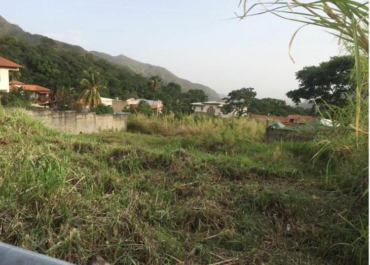 Foto Terreno en Venta en el castao, Maracay, Aragua - BsF 900.000.000 - TEV81704 - BienesOnLine