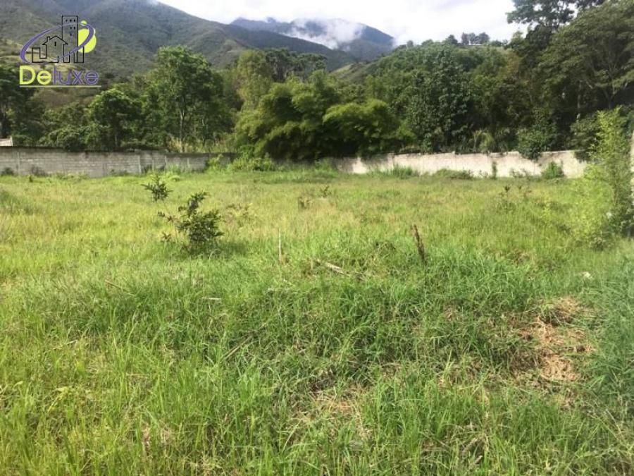 Foto Terreno en Venta en La Mucuy Baja, Tabay, Mrida - U$D 15.000 - TEV146548 - BienesOnLine