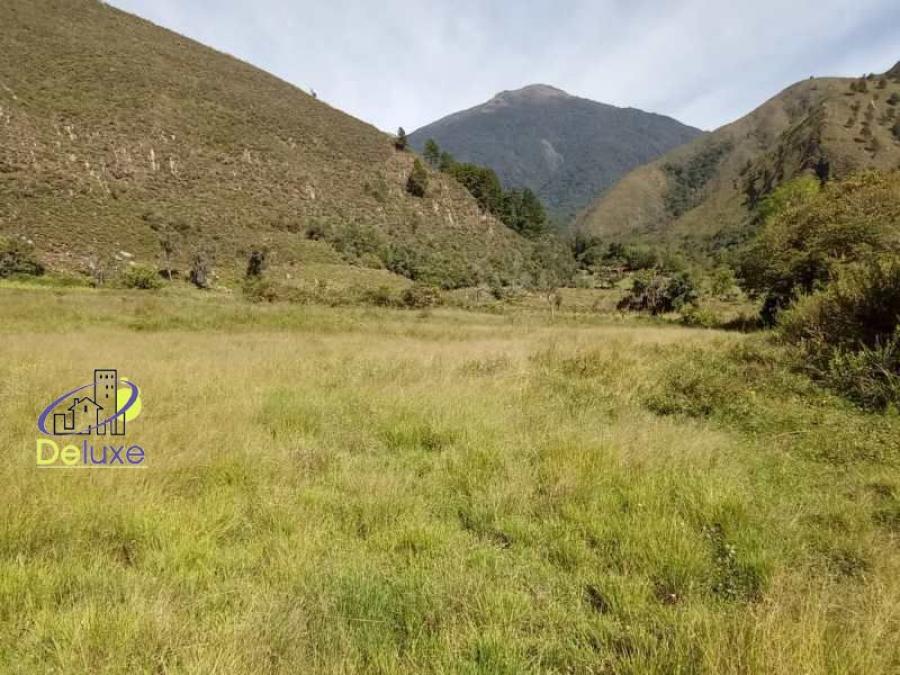 Foto Terreno en Venta en La Hechicera, Mrida, Mrida - U$D 28.000 - TEV147348 - BienesOnLine