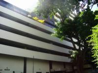 Apartamento en Venta en Colinas de Bello Monte Caracas