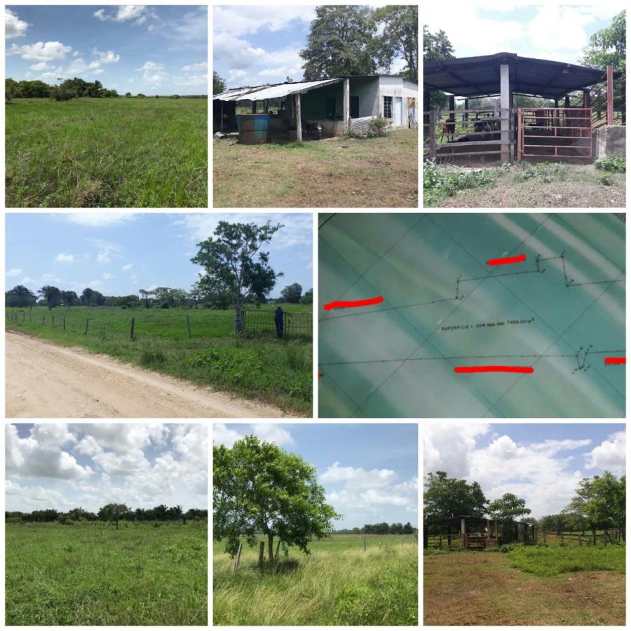 Foto Finca en Venta en Santa Brbara, Barinas - U$D 204.000 - FIV142533 - BienesOnLine