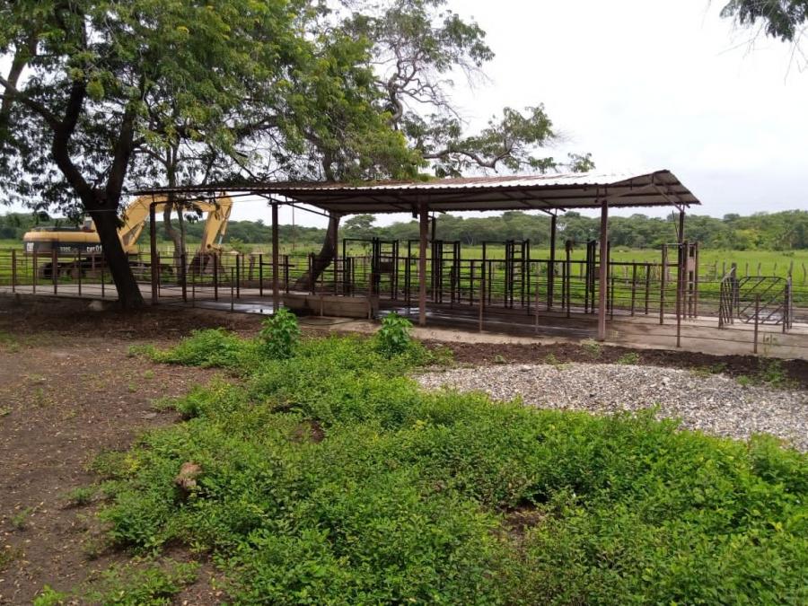 Foto Finca en Venta en @phagrovzla, 4.000 Hectreas Planas, Agricultura y Ganadera, Cojedes - 4000 hectareas - U$D 2.500.000 - FIV208130 - BienesOnLine