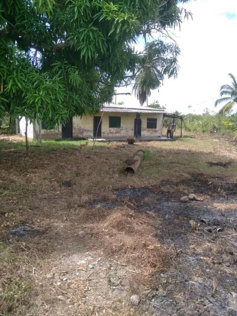 Foto Finca en Venta en Romulo gallego, Pueblo Nuevo, Zulia - U$D 18.000 - FIV204217 - BienesOnLine