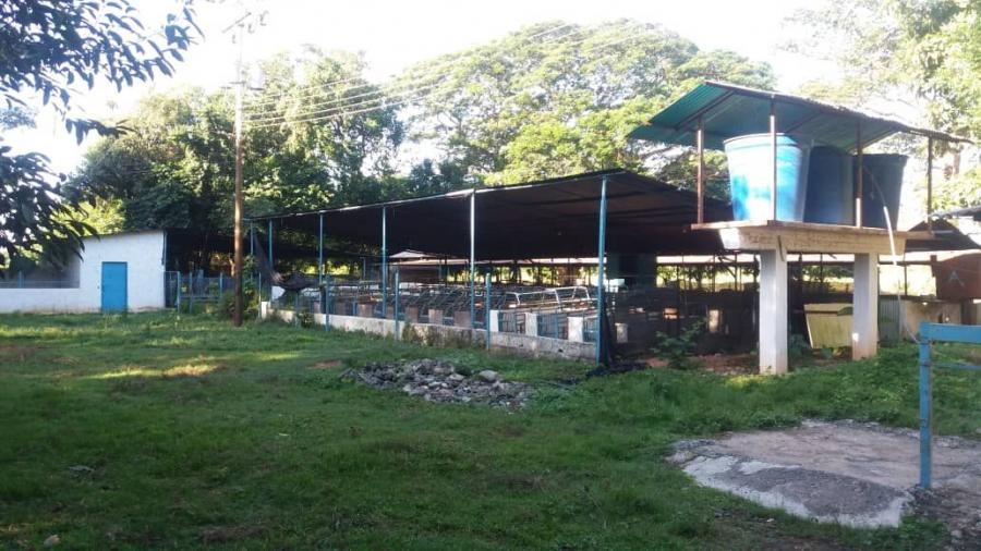 Foto Finca en Venta en @phagrovzla, Sector Camoruquito, Cojedes - U$D 120.000 - FIV124645 - BienesOnLine