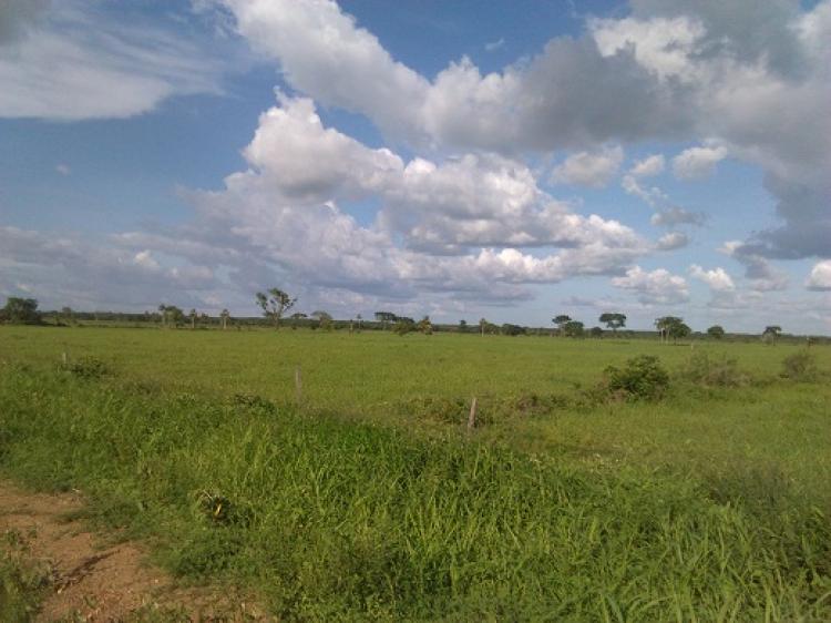 Foto Finca en Venta en El Pao, Cojedes - FIV100751 - BienesOnLine