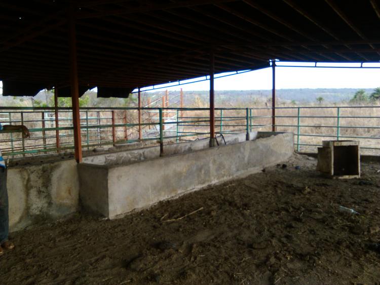 Foto Finca en Venta en El Pao, Cojedes - BsF 250.000.000 - FIV100598 - BienesOnLine