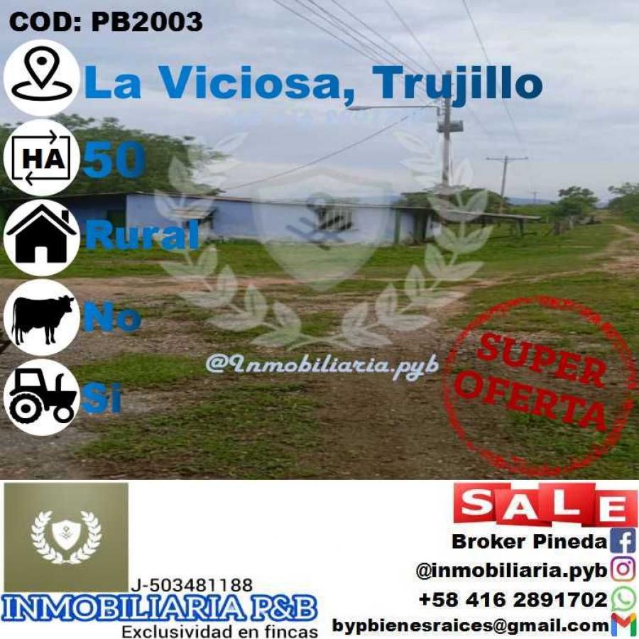 Foto Finca en Venta en Sabana Grande, Trujillo - 50 hectareas - U$D 70.000 - FIV193062 - BienesOnLine